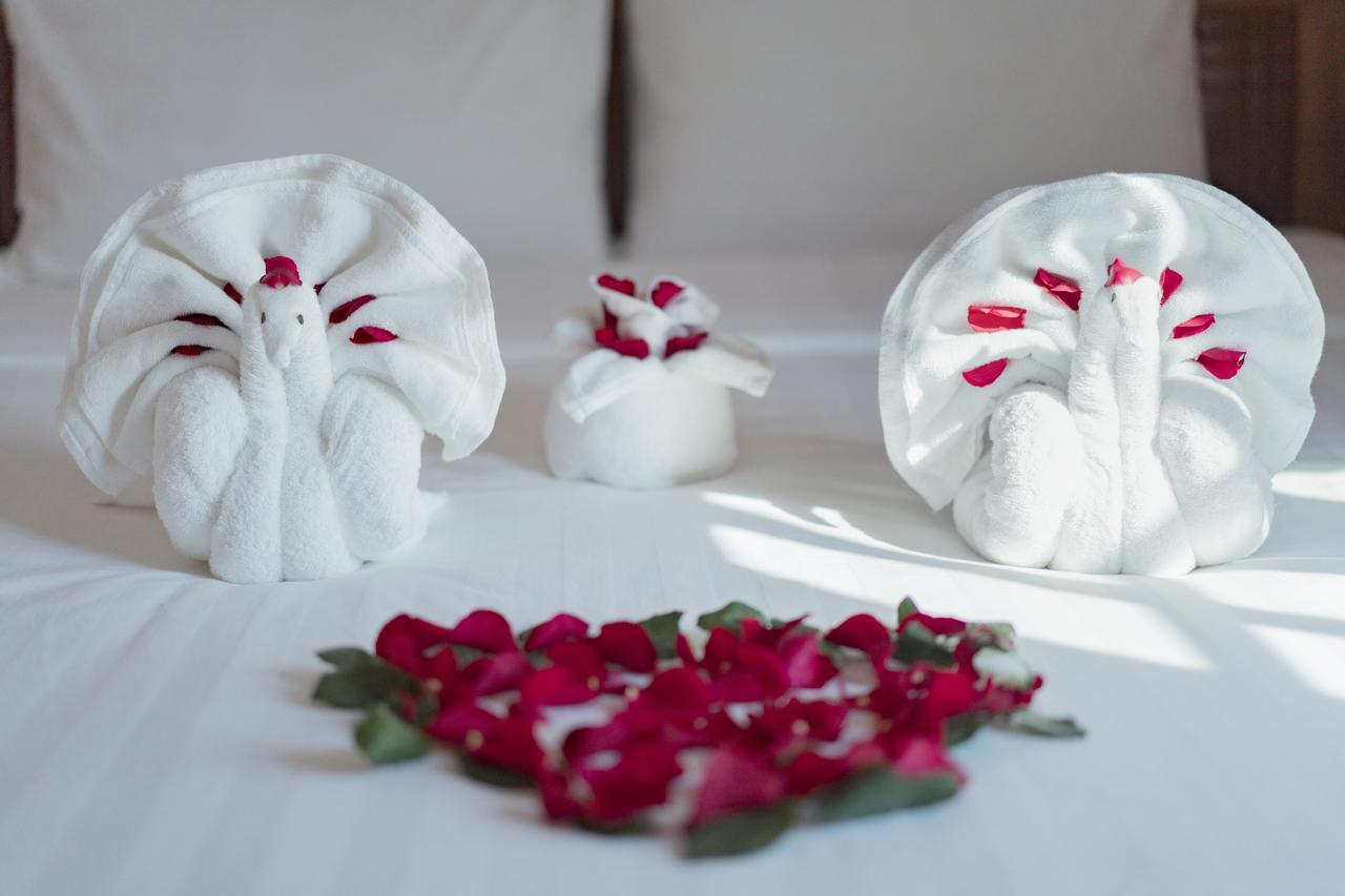 Tri Tran Homestay Hoi An Bagian luar foto