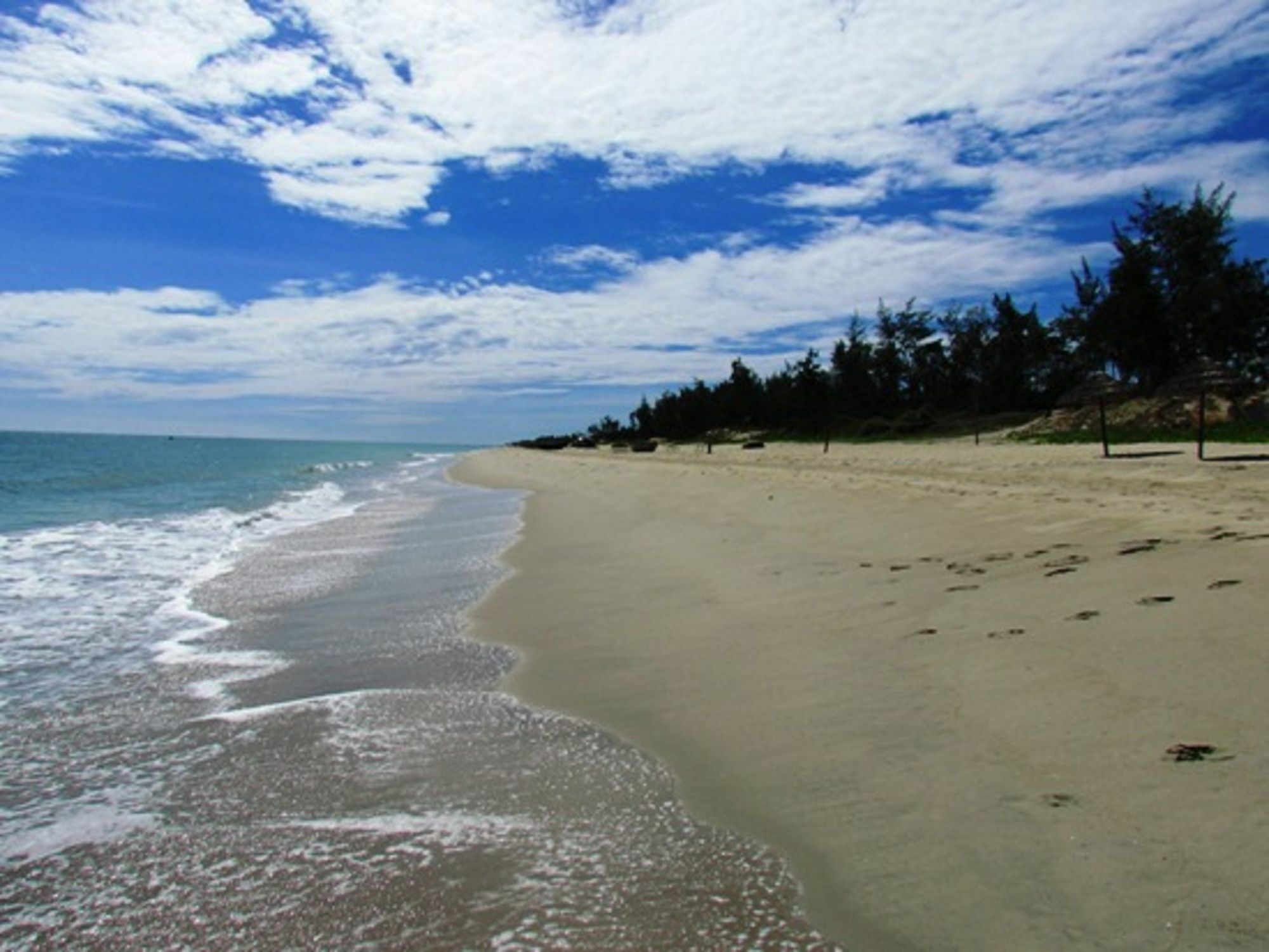 Tri Tran Homestay Hoi An Bagian luar foto